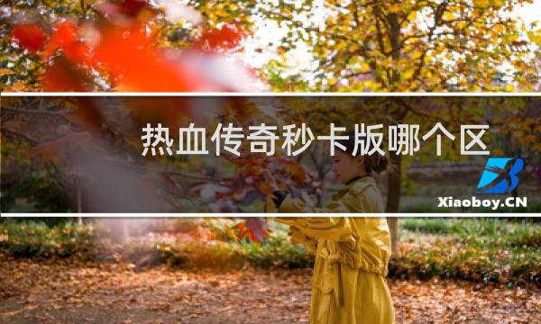 热血传奇秒卡版哪个区