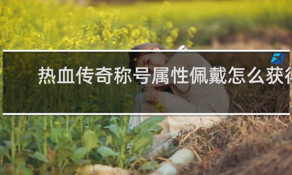 热血传奇称号属性佩戴怎么获得
