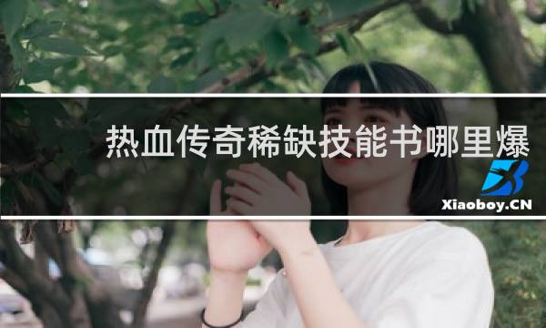 热血传奇稀缺技能书哪里爆