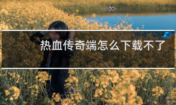 热血传奇端怎么下载不了