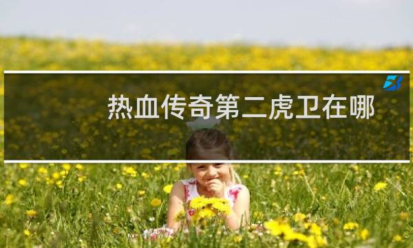 热血传奇第二虎卫在哪