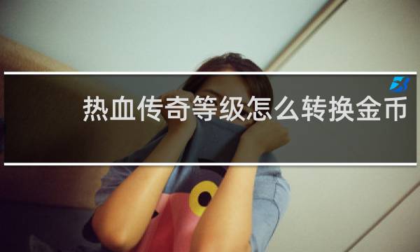 热血传奇等级怎么转换金币