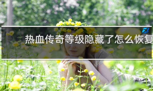 热血传奇等级隐藏了怎么恢复
