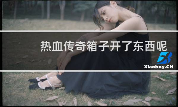 热血传奇箱子开了东西呢