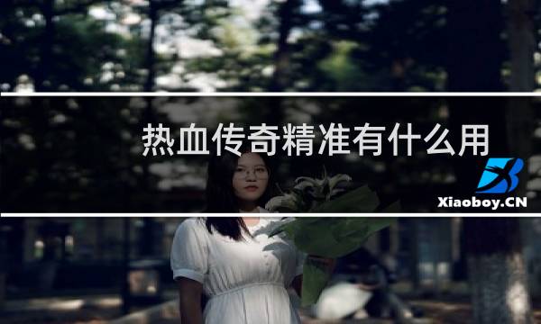 热血传奇精准有什么用