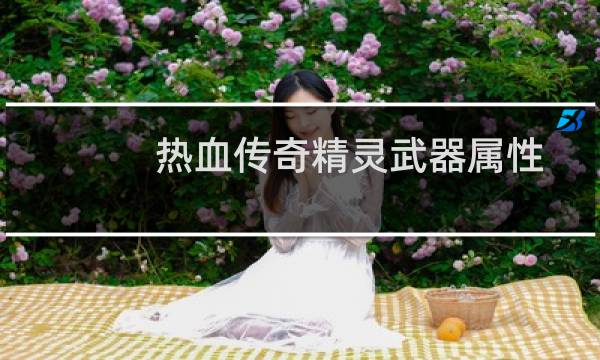 热血传奇精灵武器属性