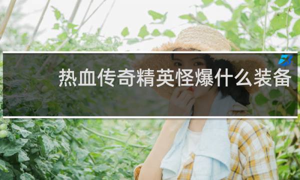 热血传奇精英怪爆什么装备