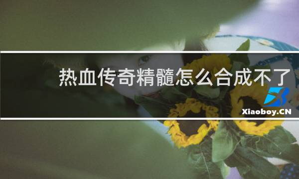 热血传奇精髓怎么合成不了