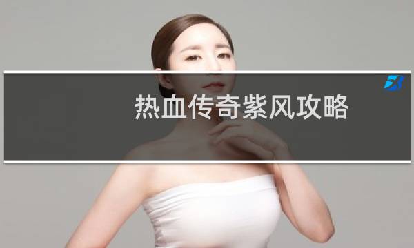 热血传奇紫风攻略