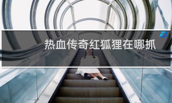 热血传奇红狐狸在哪抓