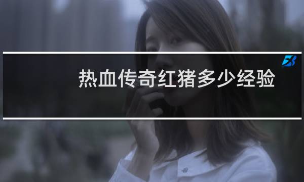 热血传奇红猪多少经验