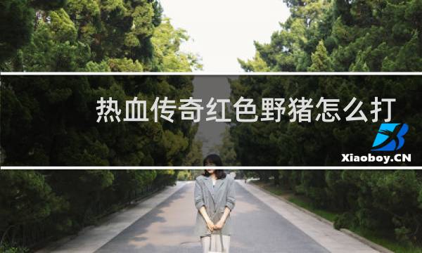 热血传奇红色野猪怎么打