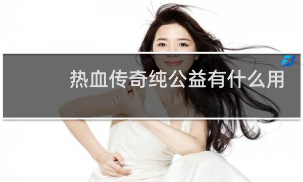 热血传奇纯公益有什么用