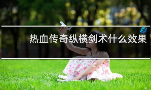 热血传奇纵横剑术什么效果