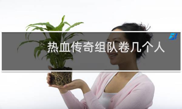 热血传奇组队卷几个人