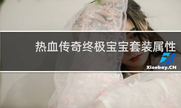 热血传奇终极宝宝套装属性