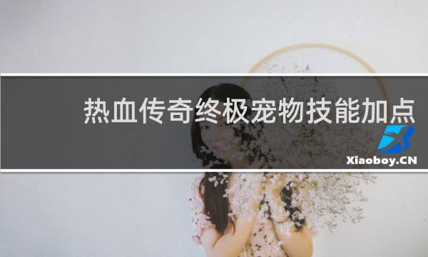 热血传奇终极宠物技能加点