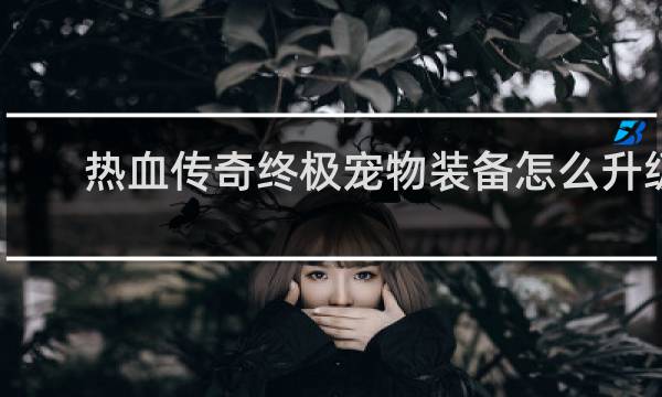 热血传奇终极宠物装备怎么升级