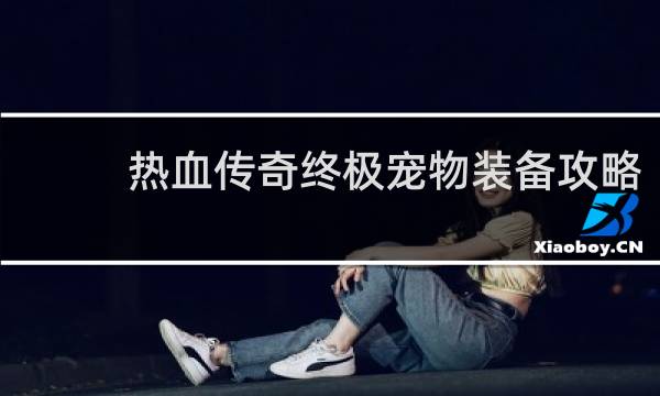 热血传奇终极宠物装备攻略