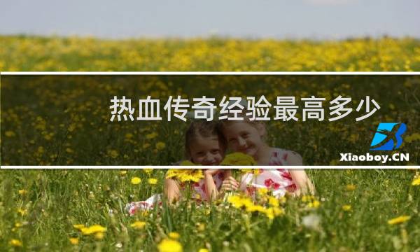 热血传奇经验最高多少