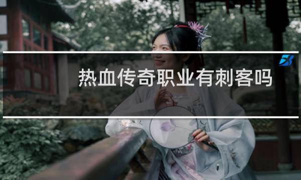 热血传奇职业有刺客吗