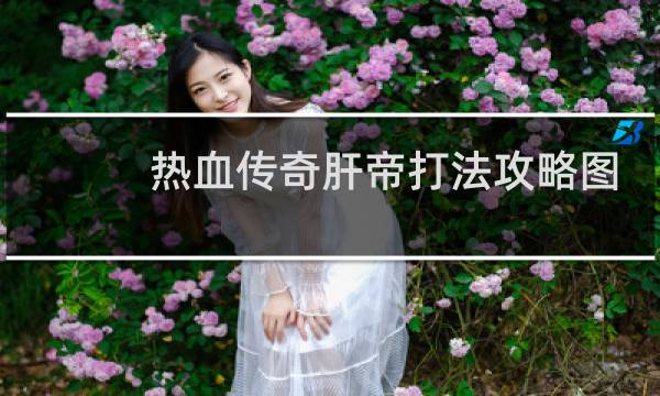 熱血傳奇肝帝打法攻略圖