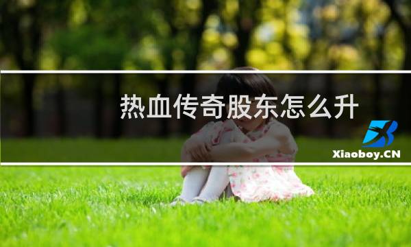 热血传奇股东怎么升