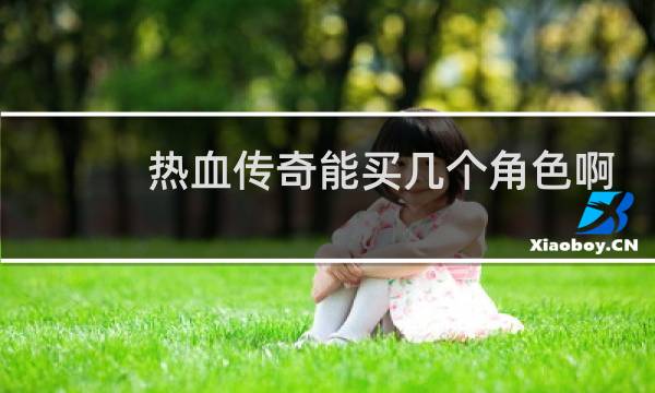 热血传奇能买几个角色啊