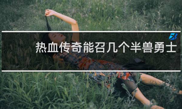 热血传奇能召几个半兽勇士