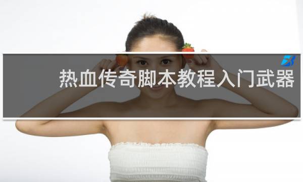 热血传奇脚本教程入门武器