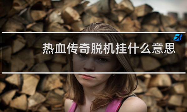 热血传奇脱机挂什么意思