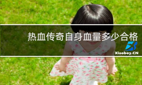 热血传奇自身血量多少合格