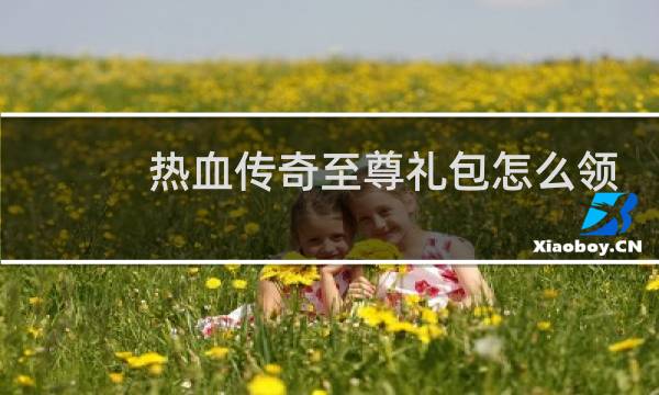 热血传奇至尊礼包怎么领