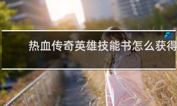 热血传奇英雄技能书怎么获得