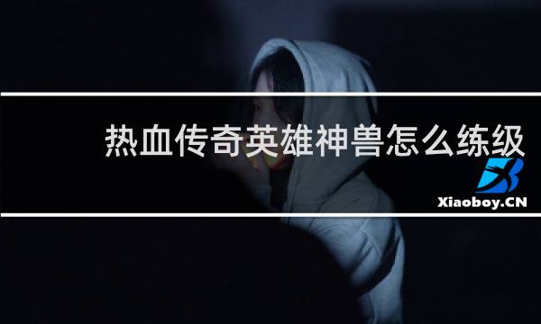 热血传奇英雄神兽怎么练级