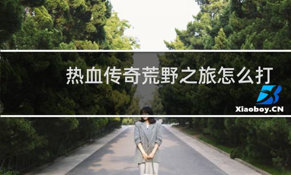 热血传奇荒野之旅怎么打