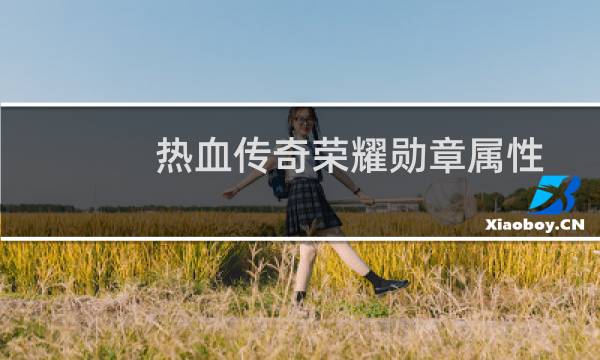 热血传奇荣耀勋章属性