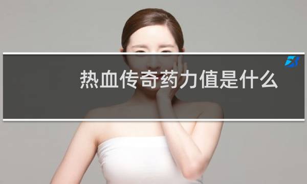 热血传奇药力值是什么