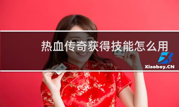热血传奇获得技能怎么用