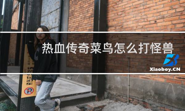 热血传奇菜鸟怎么打怪兽