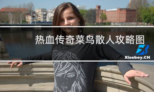 热血传奇菜鸟散人攻略图