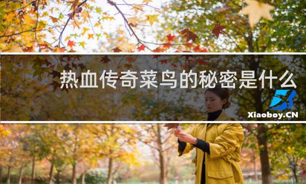 热血传奇菜鸟的秘密是什么