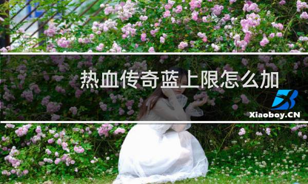 热血传奇蓝上限怎么加