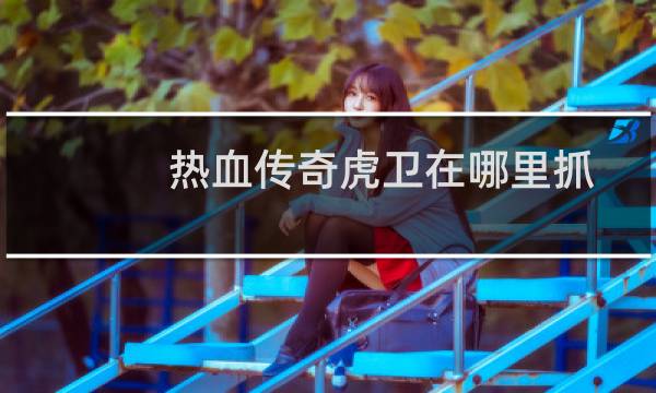 热血传奇虎卫在哪里抓