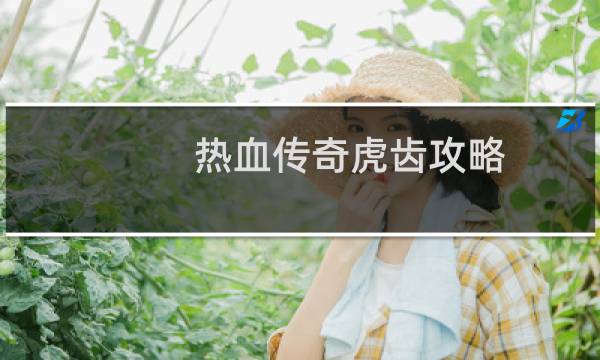 热血传奇虎齿攻略