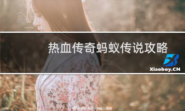 热血传奇蚂蚁传说攻略