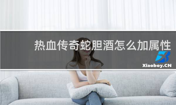 热血传奇蛇胆酒怎么加属性