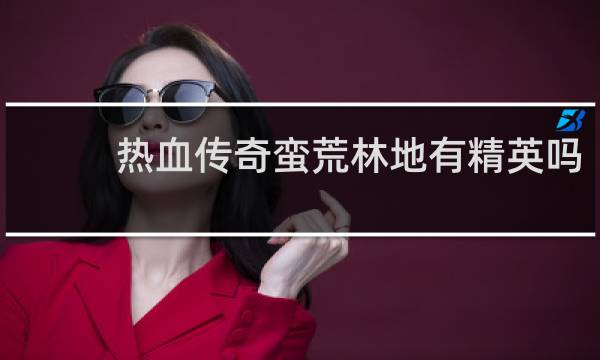 热血传奇蛮荒林地有精英吗