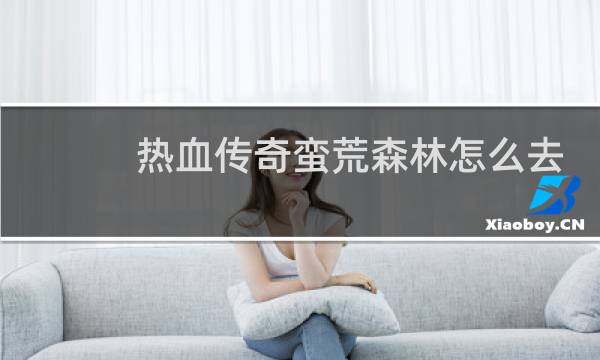 热血传奇蛮荒森林怎么去