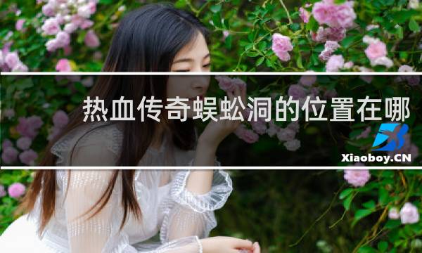 热血传奇蜈蚣洞的位置在哪